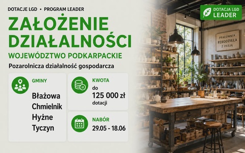 LGD Założenie działalności (Podkarpackie)
