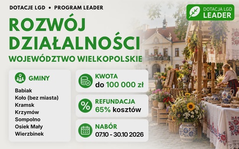 LGD Rozwój działalności (Wielkopolskie)
