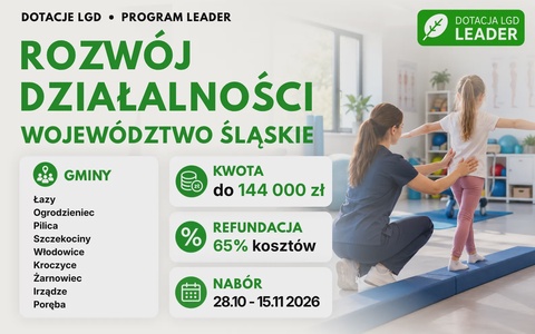LGD Rozwój działalności (Śląskie)