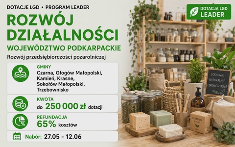 LGD Rozwój działalności (Podkarpackie)